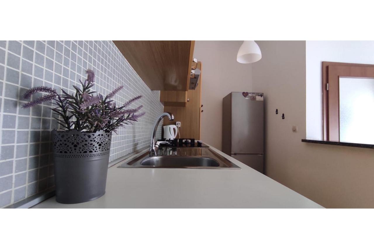 Apartment Flowers Bibinje Exterior photo