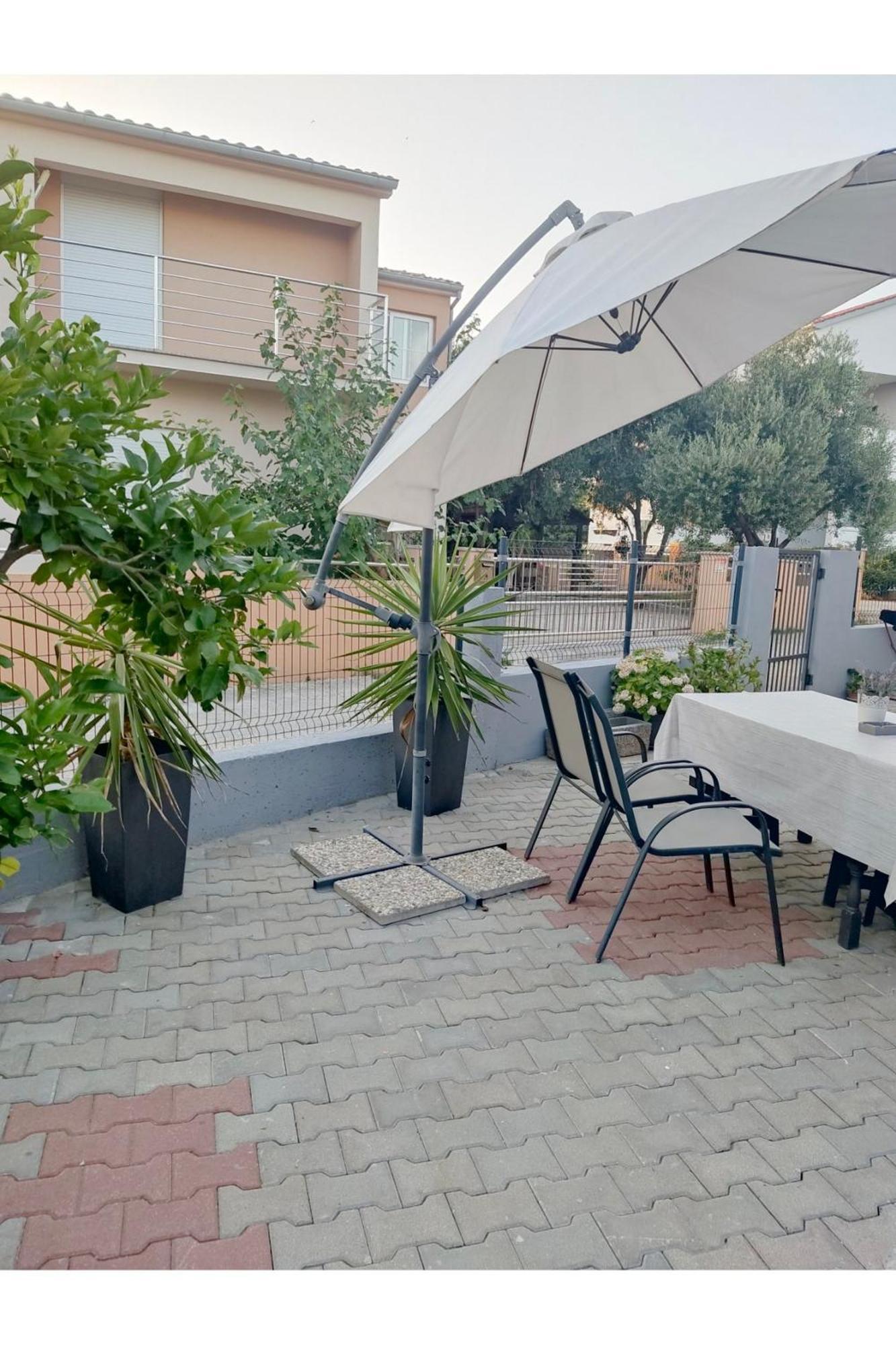 Apartment Flowers Bibinje Exterior photo